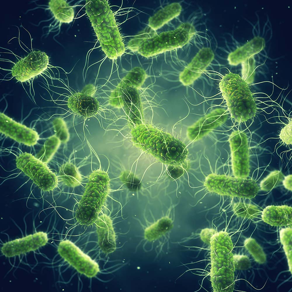 Atila BioSystems Bacterial Infections