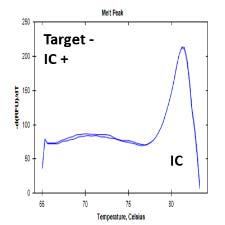 Campylobacter jejuni PCR Detection Kit test results